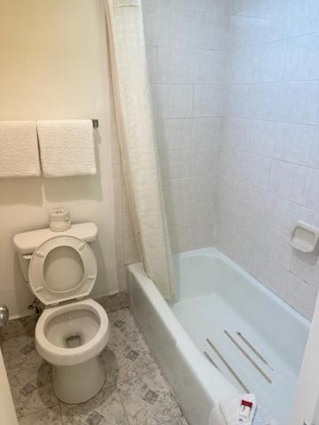 Executive Inn Mercedes Weslaco エクステリア 写真